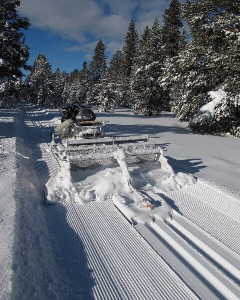 Yellowstone "Ginzugroomer"