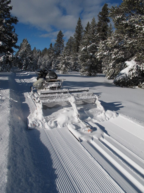 GinzuGroomer84_track-back.jpg Alpina F-250