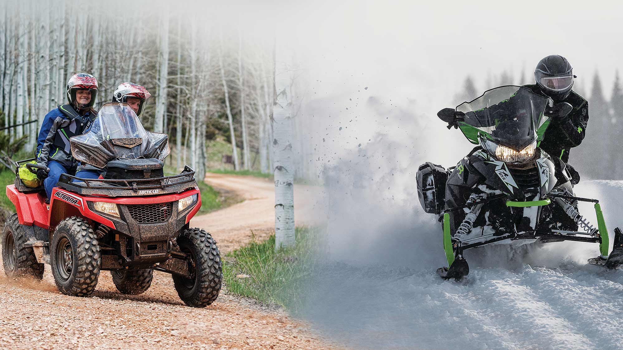 Arctic Cat As Ramo